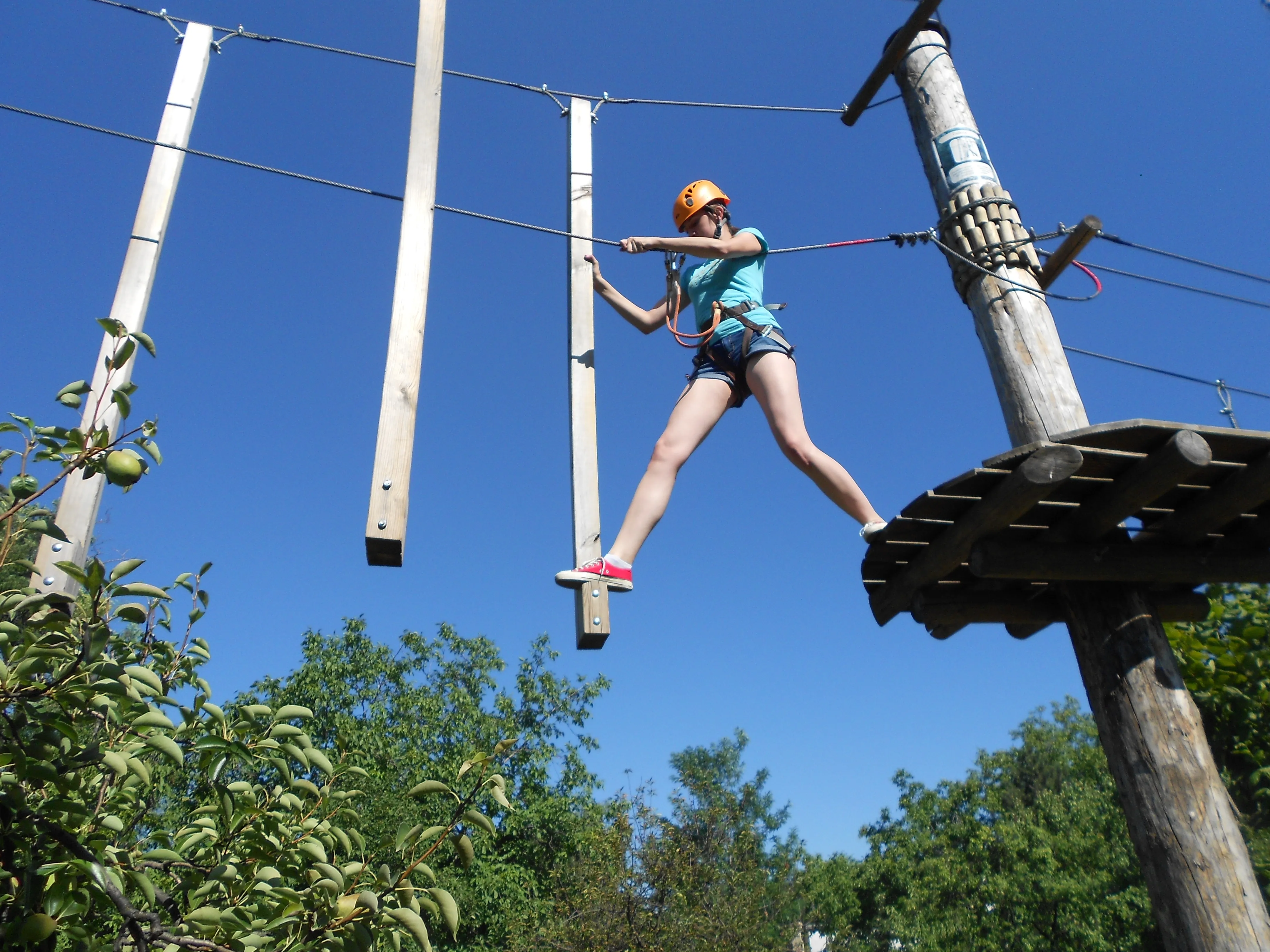 Meet Milica Kijanovic Native Teams 2.webp