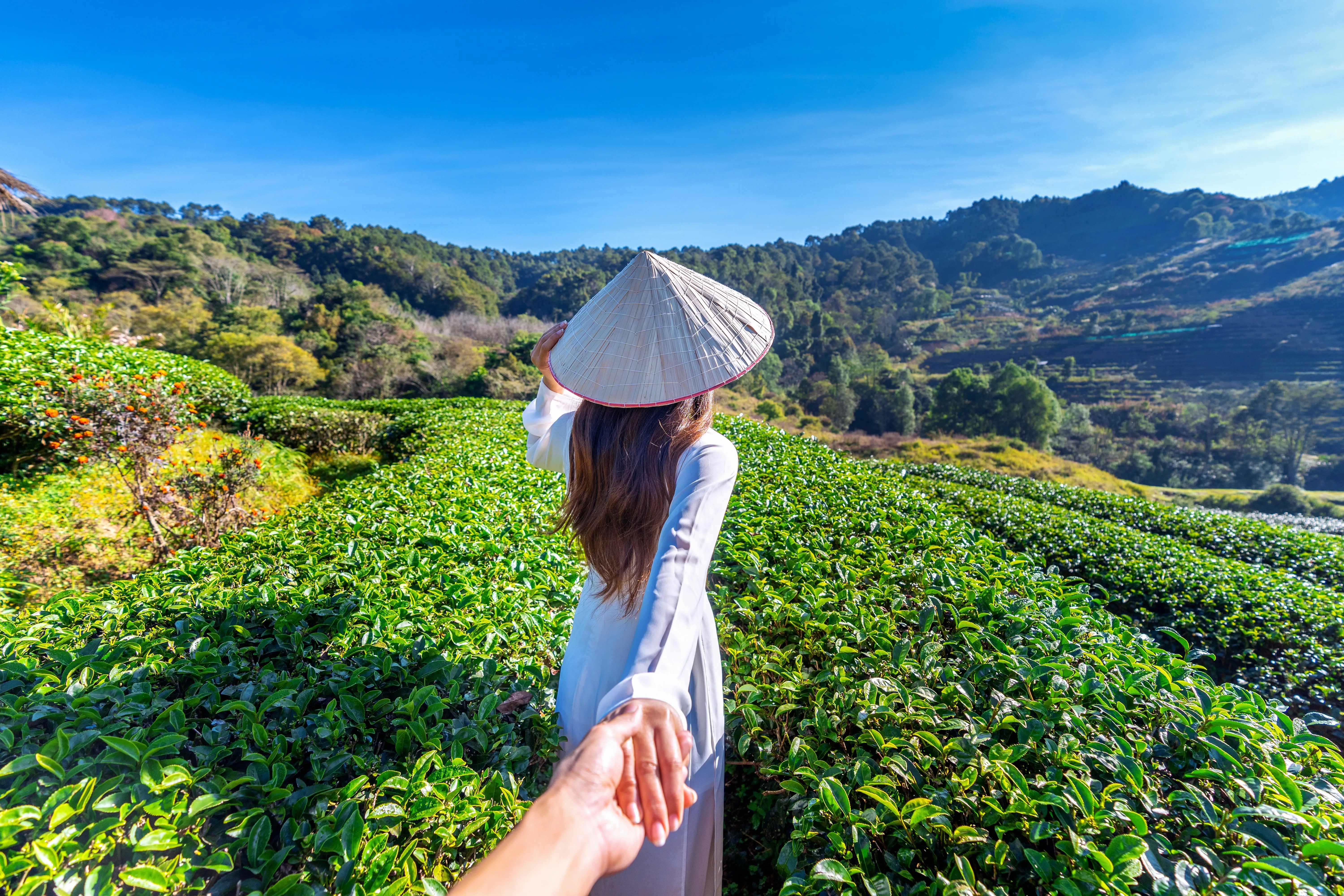 Woman wearing Vietnam culture traditional holding man's hand in a tea garden
