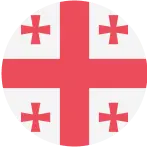 Payroll & Employment Guide Georgia flag